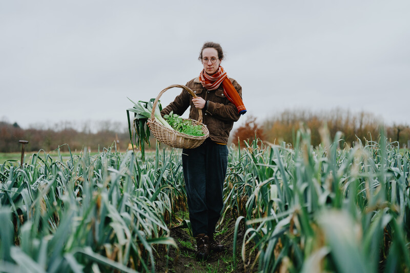 Mauri Boute van De Moeiakker in Eeklo loopt met een mand vol groenten tussen een preiveld.