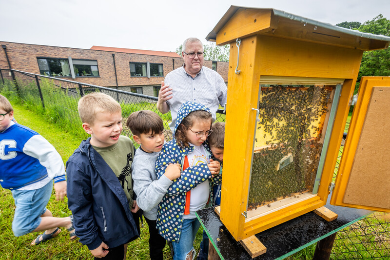 Kinderen van De Kleurenboom bestuderen de bijenkast in de beleeftuin van woonzorgcentrum Ocura