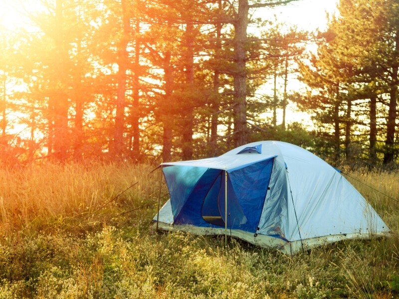 tent in bos bij zonsondergang