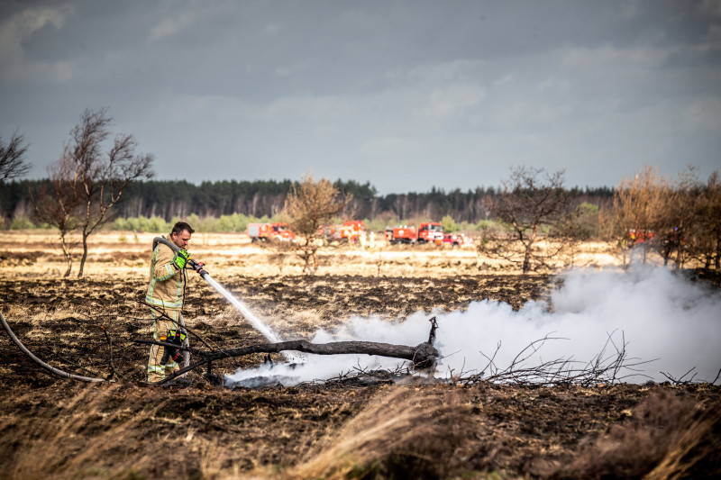 Brandweerman blust heidebrand