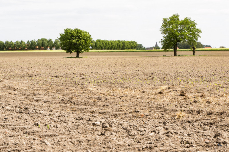 Uitgedroogde akker in Aardooie