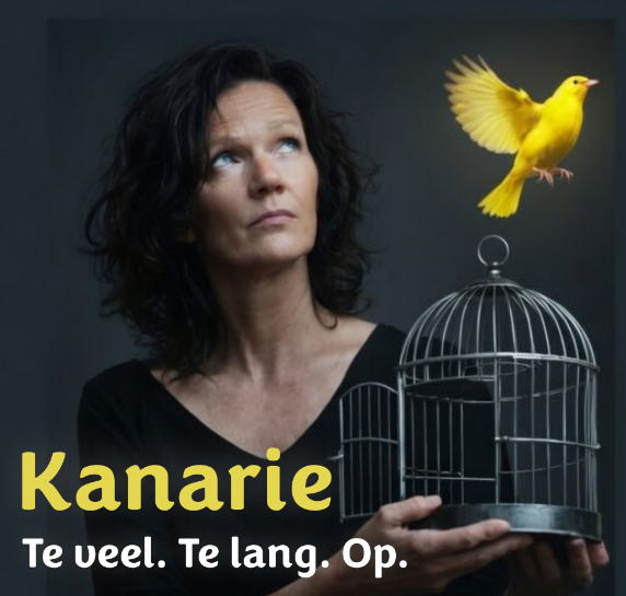 2604 kanarie