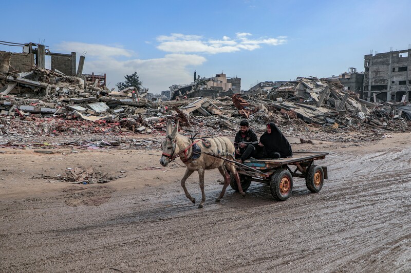 Ezel met kar in Gaza
