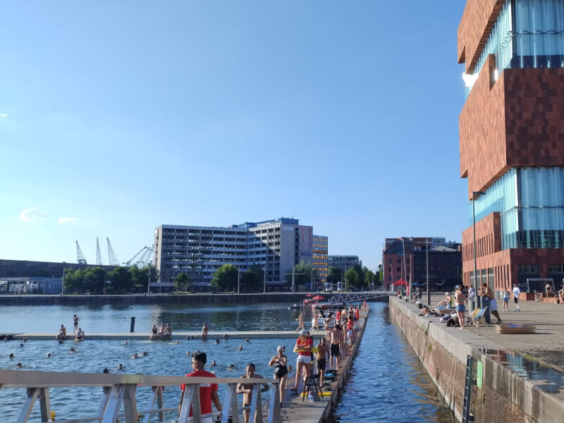 Zwemzone aan Bonapartedok Antwerpen