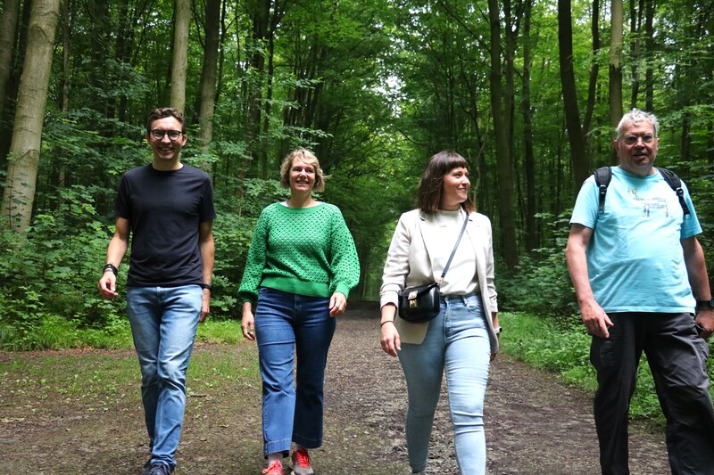 wandelen in het bos in tervuren, geluksdriehoek