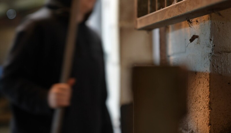 In een stal komt iemand voorbij wazig op de achtergrond;