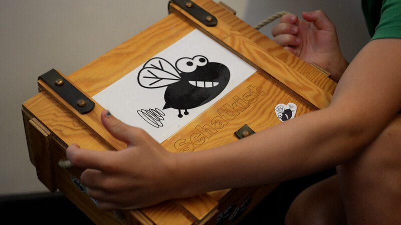 Schatkist schatten van vlieg in Diest