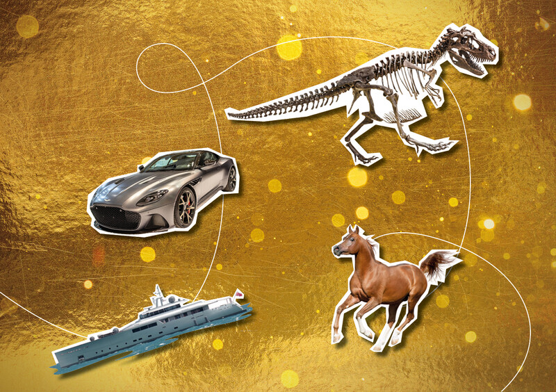 T-Rex-skelet, Sportwagen, Luxe yacht en paard